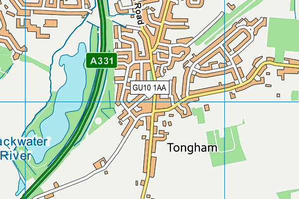 Map of TONGHAM CURRY HOUSE LTD at district scale