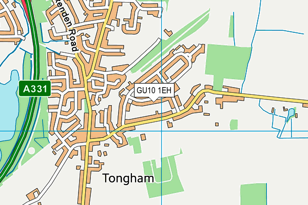 GU10 1EH map - OS VectorMap District (Ordnance Survey)
