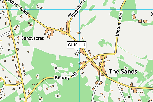GU10 1LU map - OS VectorMap District (Ordnance Survey)