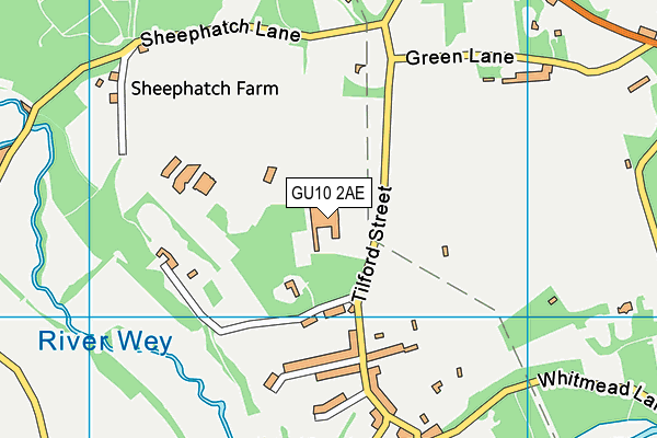 Waverley Abbey Junior School map (GU10 2AE) - OS VectorMap District (Ordnance Survey)