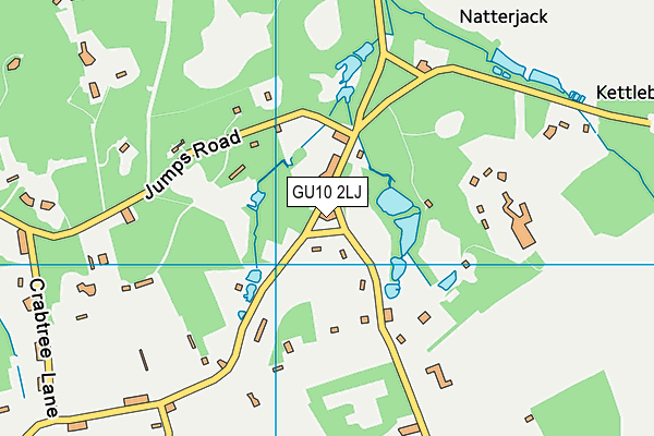 GU10 2LJ map - OS VectorMap District (Ordnance Survey)