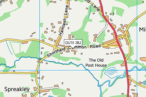 Hollowdene Recreation Ground map (GU10 3BJ) - OS VectorMap District (Ordnance Survey)