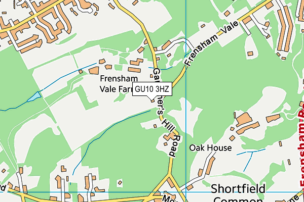 GU10 3HZ map - OS VectorMap District (Ordnance Survey)