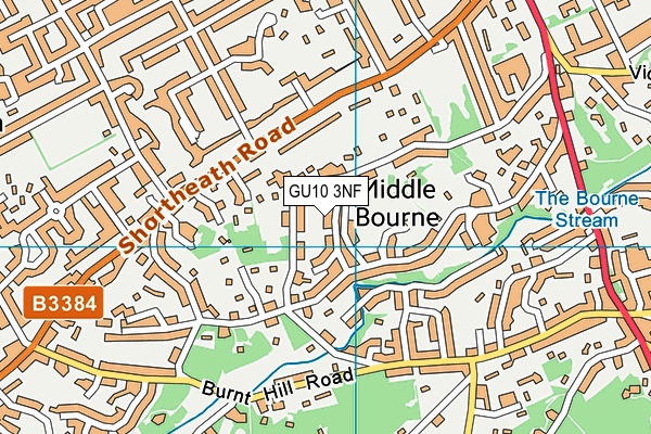 GU10 3NF map - OS VectorMap District (Ordnance Survey)