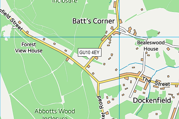 GU10 4EY map - OS VectorMap District (Ordnance Survey)