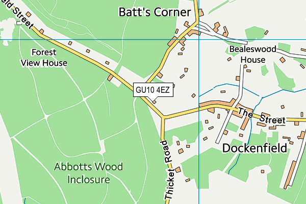 GU10 4EZ map - OS VectorMap District (Ordnance Survey)