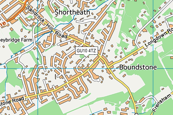 GU10 4TZ map - OS VectorMap District (Ordnance Survey)