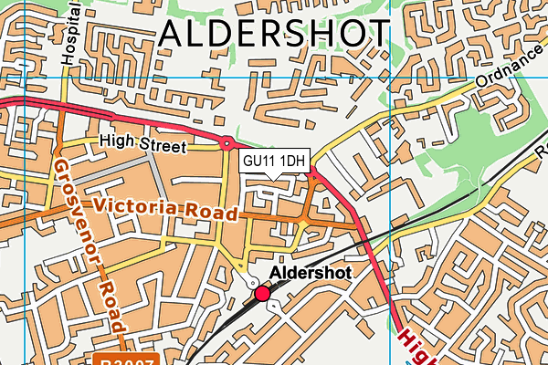 GU11 1DH map - OS VectorMap District (Ordnance Survey)