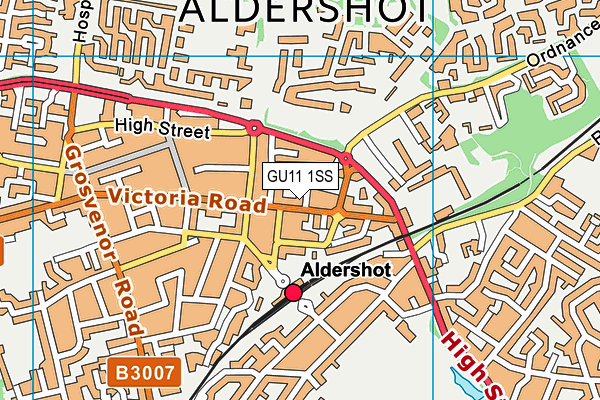 GU11 1SS map - OS VectorMap District (Ordnance Survey)