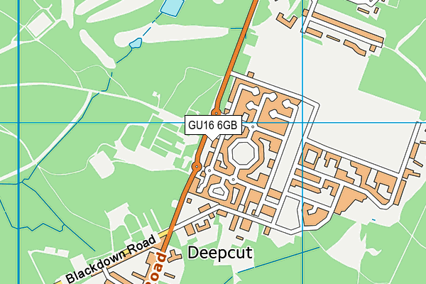 GU16 6GB map - OS VectorMap District (Ordnance Survey)