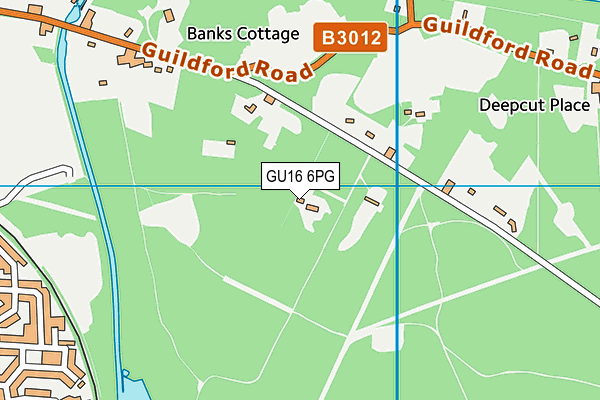 GU16 6PG map - OS VectorMap District (Ordnance Survey)