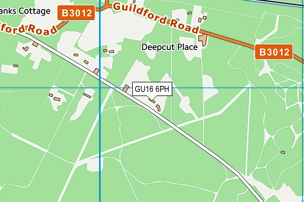GU16 6PH map - OS VectorMap District (Ordnance Survey)