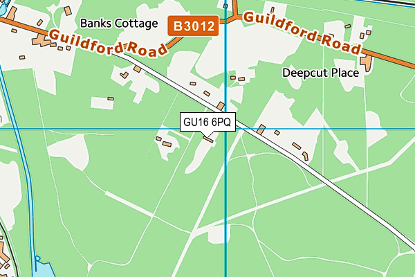 GU16 6PQ map - OS VectorMap District (Ordnance Survey)