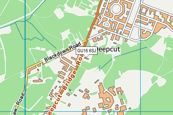 GU16 6SJ map - OS VectorMap District (Ordnance Survey)