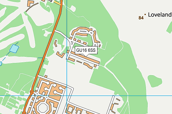 GU16 6SS map - OS VectorMap District (Ordnance Survey)