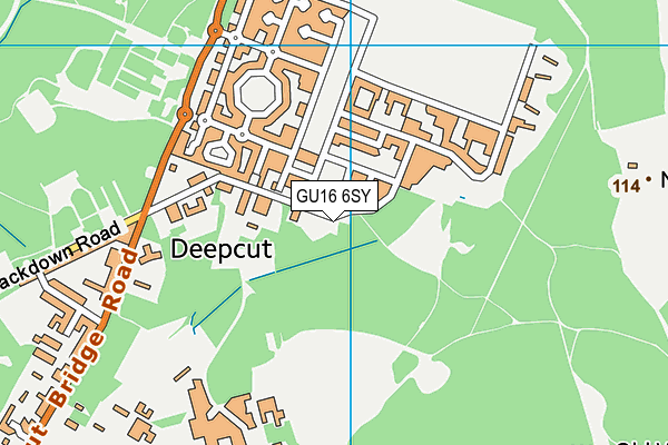 GU16 6SY map - OS VectorMap District (Ordnance Survey)