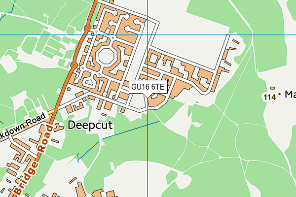 GU16 6TE map - OS VectorMap District (Ordnance Survey)