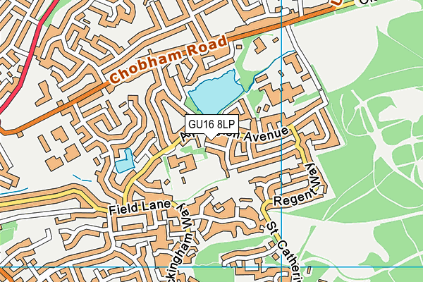 GU16 8LP map - OS VectorMap District (Ordnance Survey)