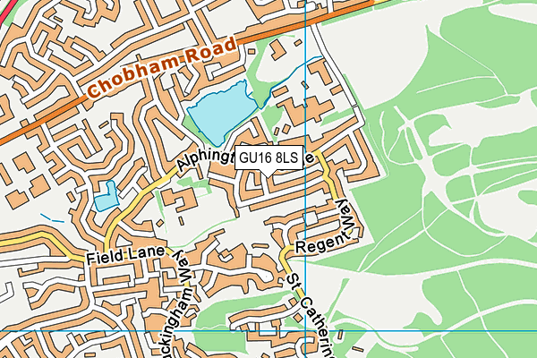GU16 8LS map - OS VectorMap District (Ordnance Survey)