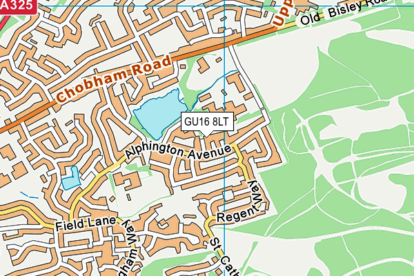 GU16 8LT map - OS VectorMap District (Ordnance Survey)