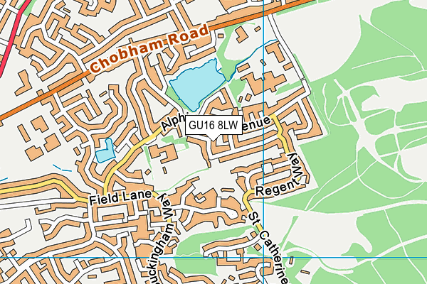 GU16 8LW map - OS VectorMap District (Ordnance Survey)