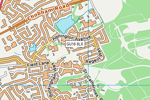 GU16 8LX map - OS VectorMap District (Ordnance Survey)