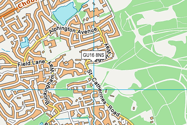 GU16 8NS map - OS VectorMap District (Ordnance Survey)