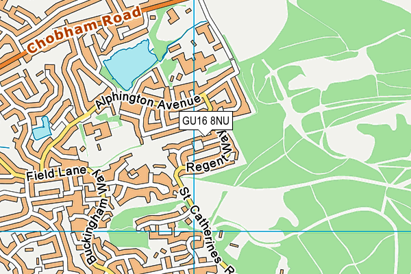 GU16 8NU map - OS VectorMap District (Ordnance Survey)