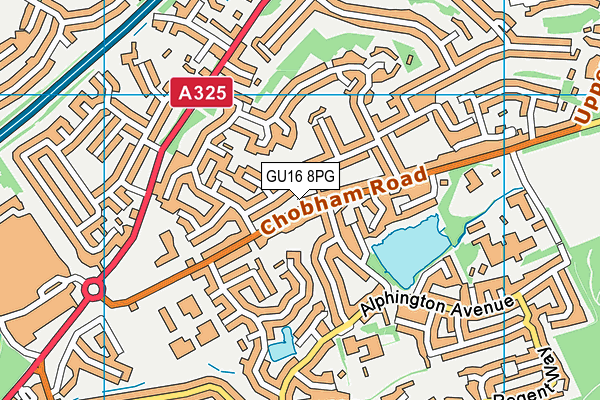 The Grove Primary Academy map (GU16 8PG) - OS VectorMap District (Ordnance Survey)