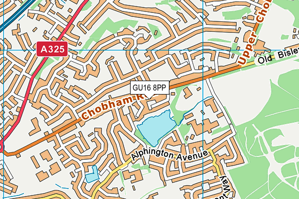 GU16 8PP map - OS VectorMap District (Ordnance Survey)