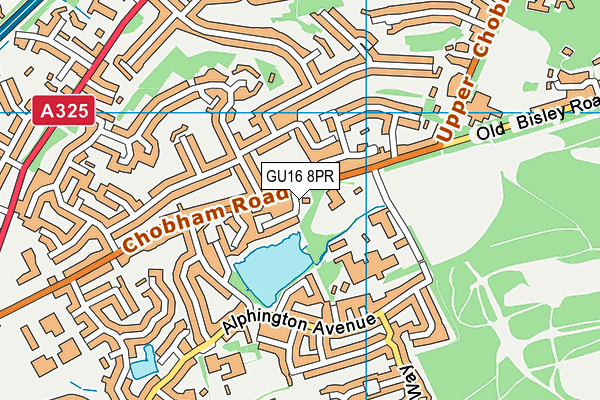 GU16 8PR map - OS VectorMap District (Ordnance Survey)