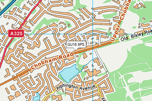 GU16 8PS map - OS VectorMap District (Ordnance Survey)