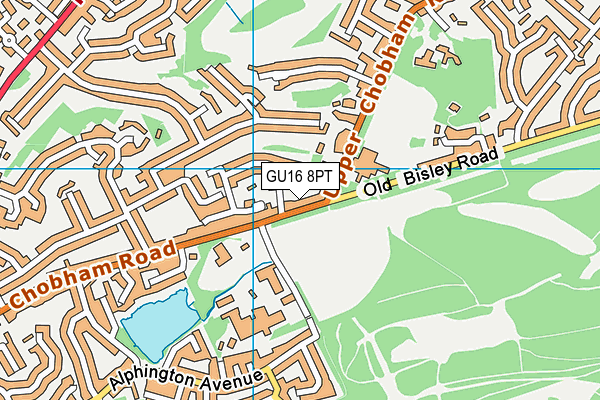 GU16 8PT map - OS VectorMap District (Ordnance Survey)