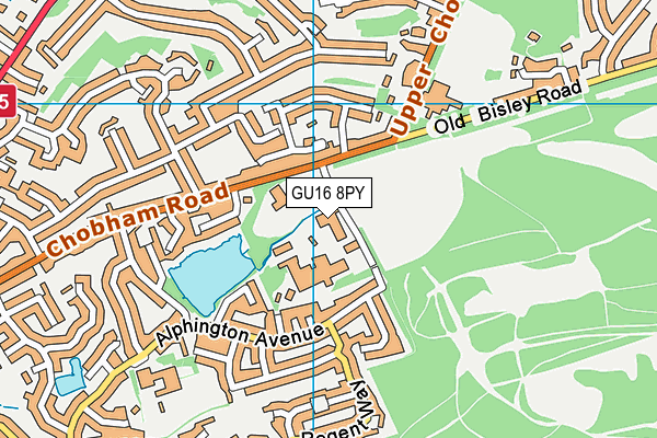 Tomlinscote School map (GU16 8PY) - OS VectorMap District (Ordnance Survey)