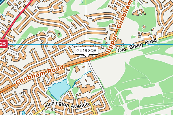 GU16 8QA map - OS VectorMap District (Ordnance Survey)
