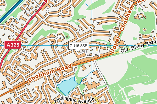 GU16 8SE map - OS VectorMap District (Ordnance Survey)