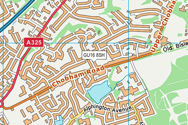 GU16 8SH map - OS VectorMap District (Ordnance Survey)
