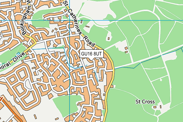 GU16 8UT map - OS VectorMap District (Ordnance Survey)