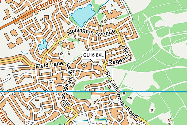 GU16 8XL map - OS VectorMap District (Ordnance Survey)