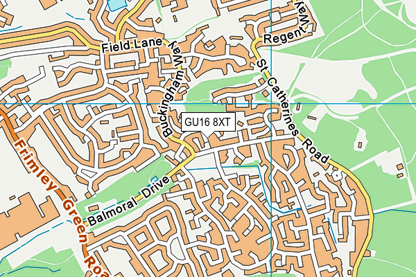 GU16 8XT map - OS VectorMap District (Ordnance Survey)