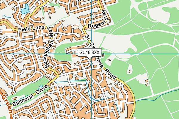 GU16 8XX map - OS VectorMap District (Ordnance Survey)