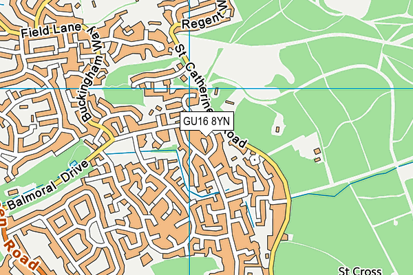 GU16 8YN map - OS VectorMap District (Ordnance Survey)