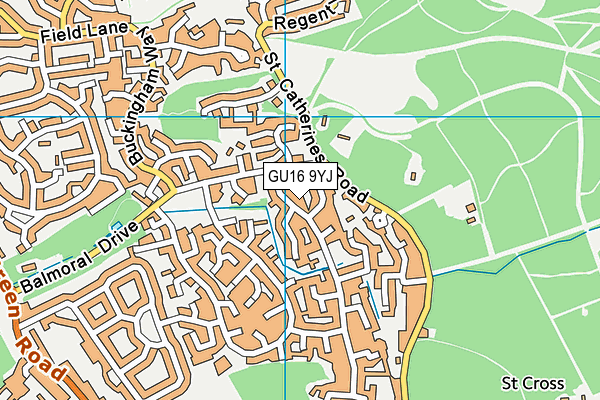 GU16 9YJ map - OS VectorMap District (Ordnance Survey)