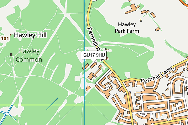 Hawleyhurst School map (GU17 9HU) - OS VectorMap District (Ordnance Survey)