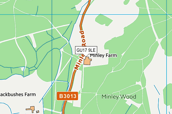 GU17 9LE map - OS VectorMap District (Ordnance Survey)