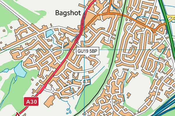 Bagshot Infant School map (GU19 5BP) - OS VectorMap District (Ordnance Survey)
