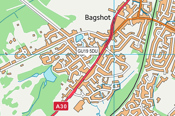 GU19 5DU map - OS VectorMap District (Ordnance Survey)