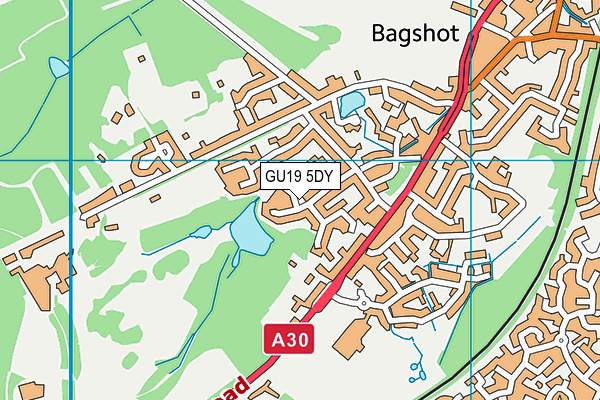 GU19 5DY map - OS VectorMap District (Ordnance Survey)