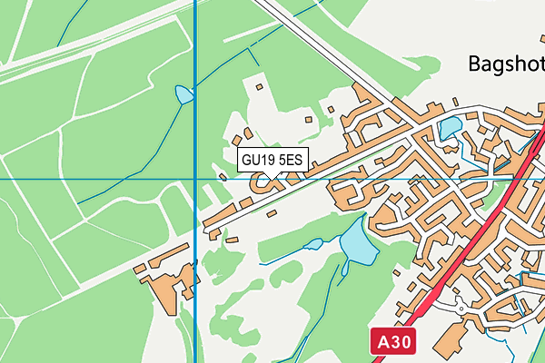 GU19 5ES map - OS VectorMap District (Ordnance Survey)