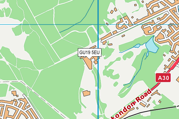 Pennyhill Park map (GU19 5EU) - OS VectorMap District (Ordnance Survey)